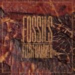 Fossils - Flesh Hammer